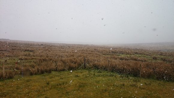 Etwas später: Ordentlicher Schneefall