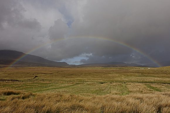 Regenbogen