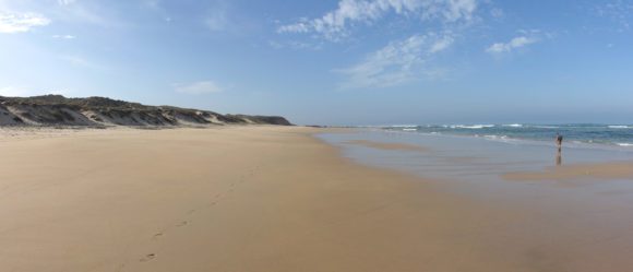 Bei Ebbe lassen sich am Strand viele Kilometer laufen