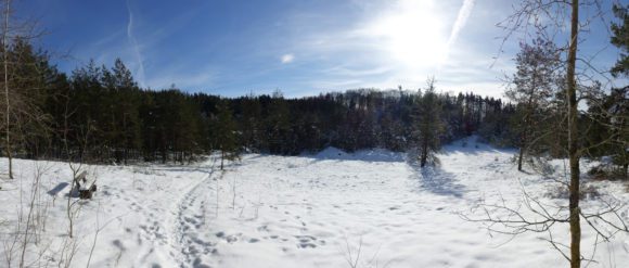 Akzeptable Winterlandschaft :)